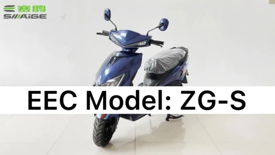 Saige EEC 인증 72V20ah 납축 배터리 또는 리튬 배터리 거리 법적 2000W 전기 오토바이